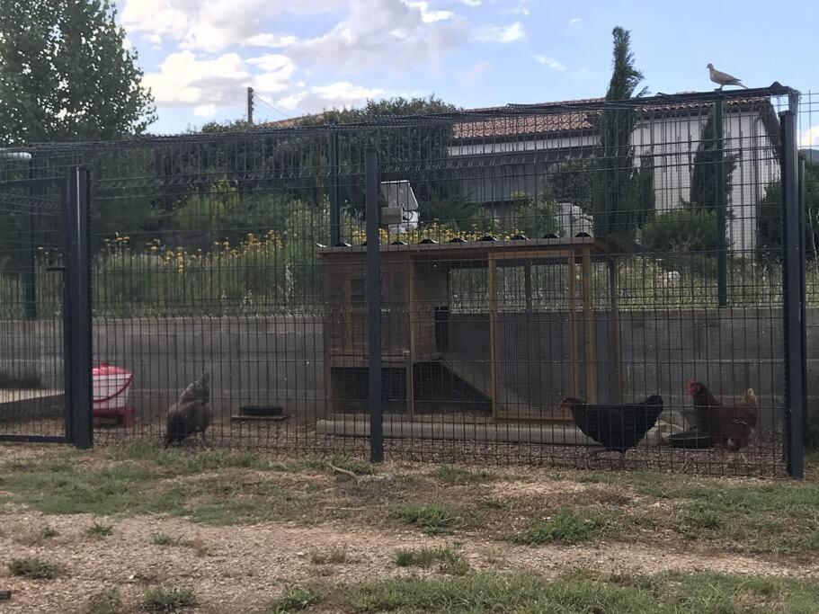 Cocon Aux Portes Des Cevennes Avec Piscine Moulès-et-Baucels 外观 照片